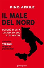 Il male del Nord. Perché o si fa l'Italia da Sud o si muore