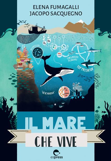 Il mare che vive - Elena Fumagalli,Jacopo Sacquegno - copertina