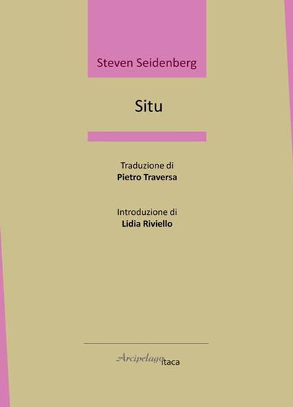 Situ - Steven Seidenberg - copertina