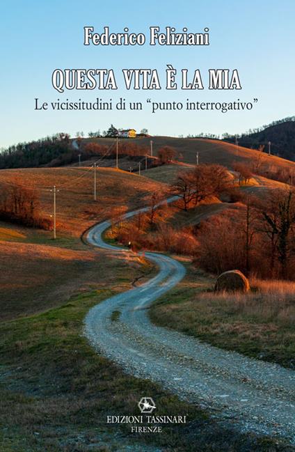 Questa vita è la mia. Le vicissitudini di un punto interrogativo - Federico Feliziani - copertina