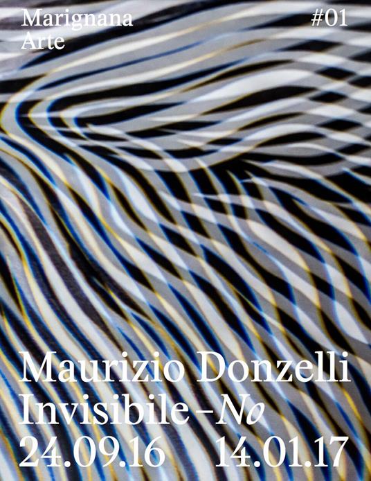 Maurizio Donzelli. Invisibile-No. Ediz. italiana e inglese - copertina