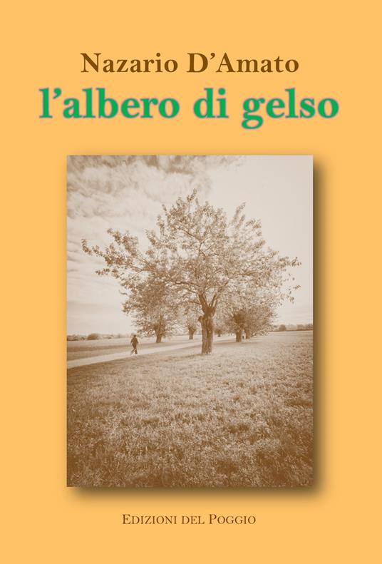 L' albero di gelso - Nazario D'Amato - copertina