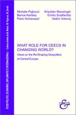 What role for CEECs in changing world? Views on the re-shaping geopolitics of Central Europe
