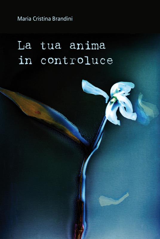 La tua anima in controluce - Maria Cristina Brandini - copertina
