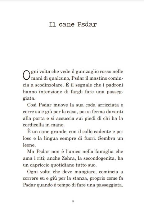 L'ultimo bisonte - Annalisa Camilli - 3