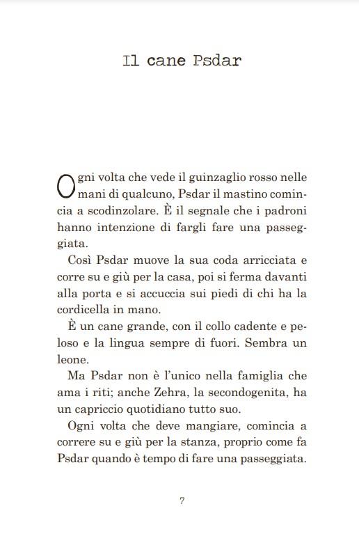 L'ultimo bisonte - Annalisa Camilli - 3