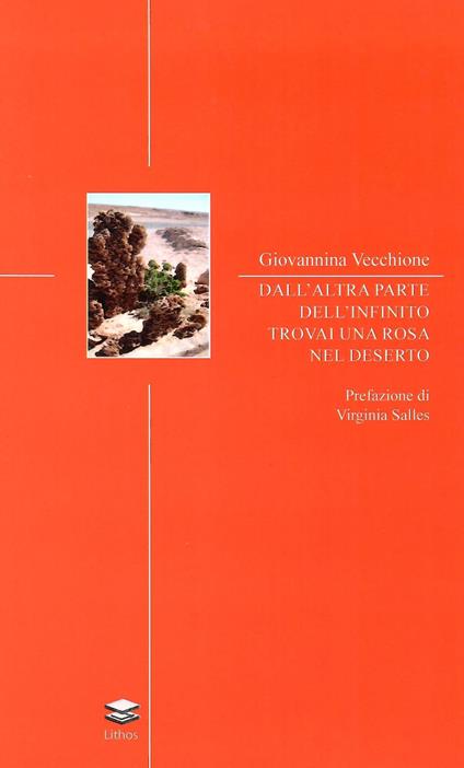 Dall'altra parte dell'infinito trovai una rosa nel deserto - Giovannina Vecchione - copertina