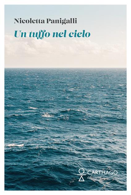 Un tuffo nel cielo - Nicoletta Panigalli - copertina