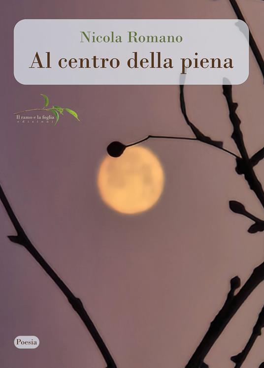 Nicola Romano, "Al centro della piena" (Il ramo e la foglia ed.) - di Antonino Schiera