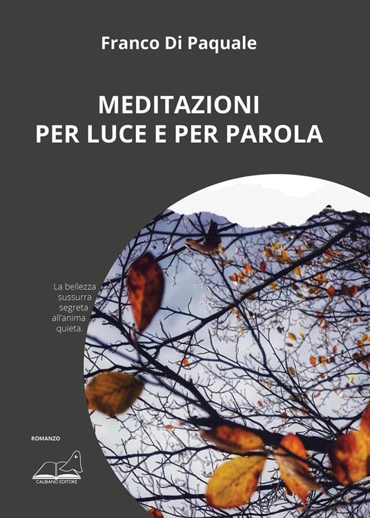 Meditazioni per luce e per parola. Ediz. illustrata - Franco Di Pasquale - copertina