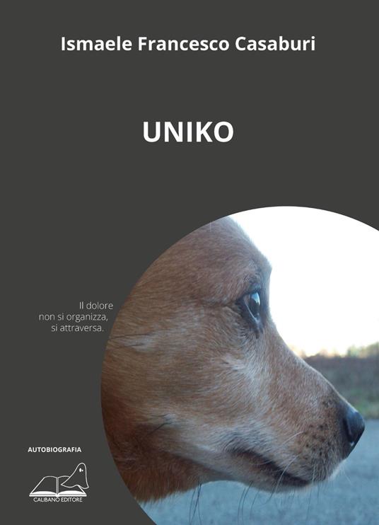 Uniko - Ismaele Francesco Casaburi - copertina