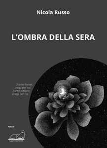 L'ombra della sera