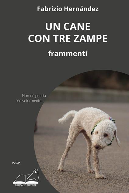 Un cane con tre zampe. Frammenti - Fabrizio Hernández - copertina