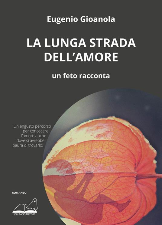 La lunga strada dell'amore. Un feto racconta - Eugenio Gioanola - copertina