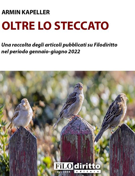 Oltre lo steccato. Una raccolta di articoli pubblicati su Filodiritto nel periodo gennaio-giugno 2022 - Kapeller Armin - copertina