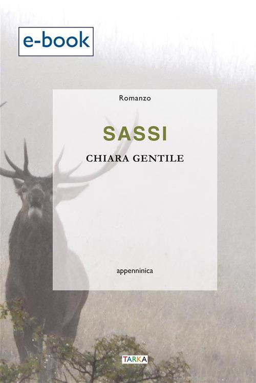 Sassi - Chiara Gentile - ebook