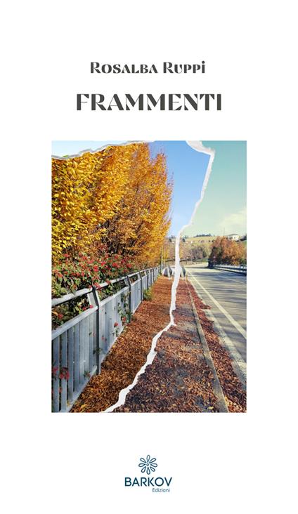 Frammenti - Rosalba Ruppi - copertina