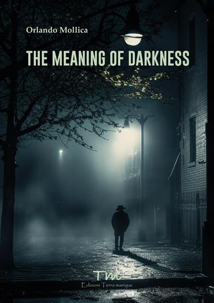 The meaning of darkness - Orlando Mollica - copertina
