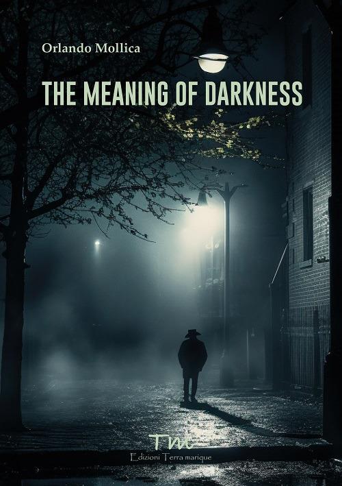 The meaning of darkness - Orlando Mollica - copertina