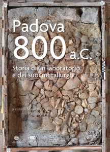 Libro Padova 800 a.C. Storia di un laboratorio e dei suoi metallurghi 