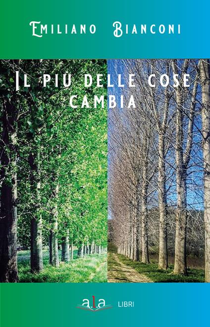 Il più delle cose cambia - Emiliano Bianconi - copertina
