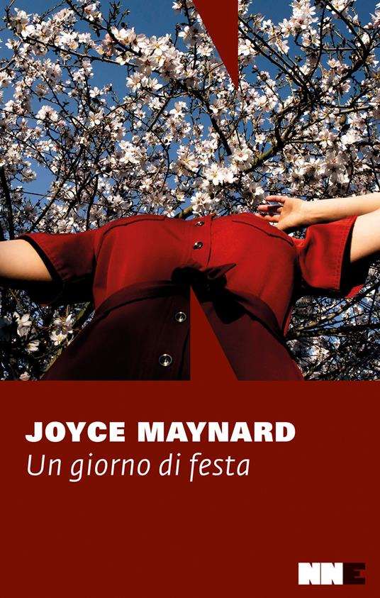 Un giorno di festa - Joyce Maynard,Federica Merani - ebook