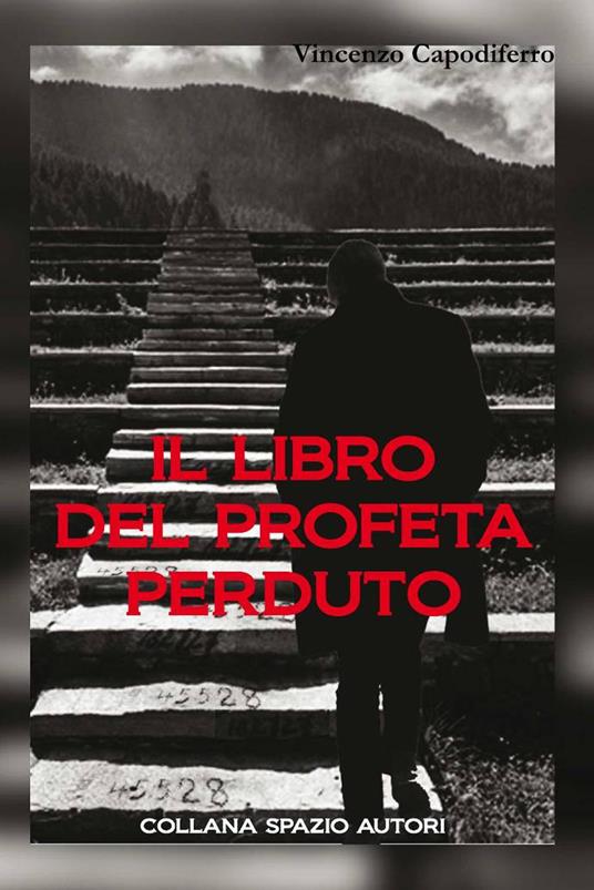 Il libro del profeta perduto - Vincenzo Capodiferro - copertina