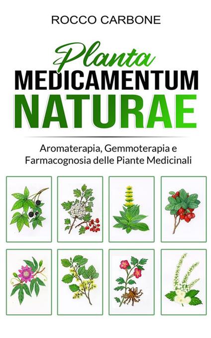 Planta medicamentum naturae. Aromaterapia, gemmoterapia e fitoterapia - Rocco Carbone - ebook