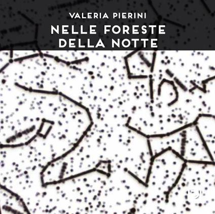 Nelle foreste della notte. Ediz. a colori - Valeria Pierini - copertina