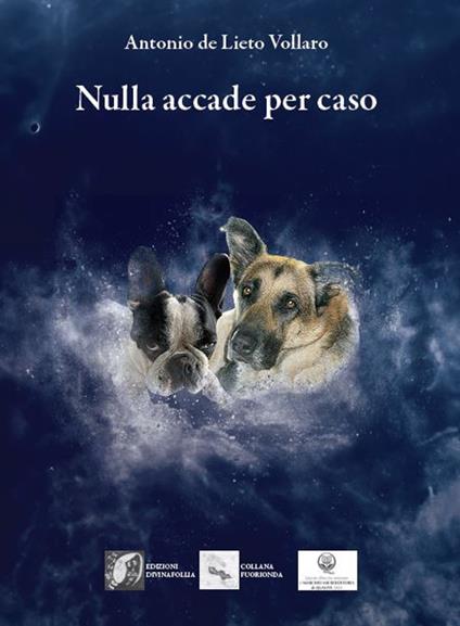 Nulla accade per caso - Antonio De Lieto Vollaro - copertina