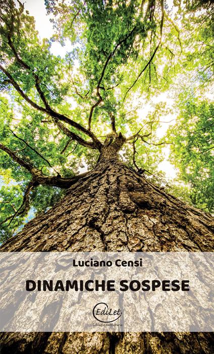 Dinamiche sospese - Luciano Censi - copertina