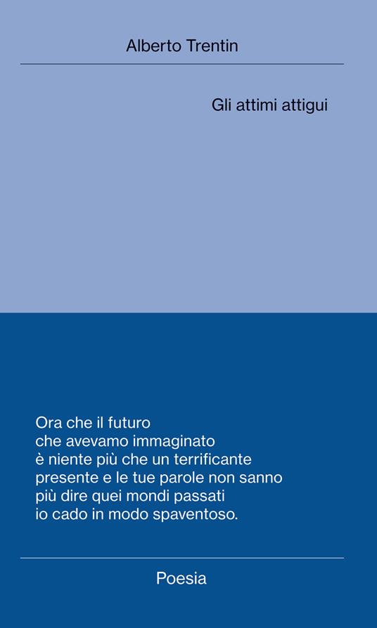 Gli attimi attigui - Alberto Trentin - copertina