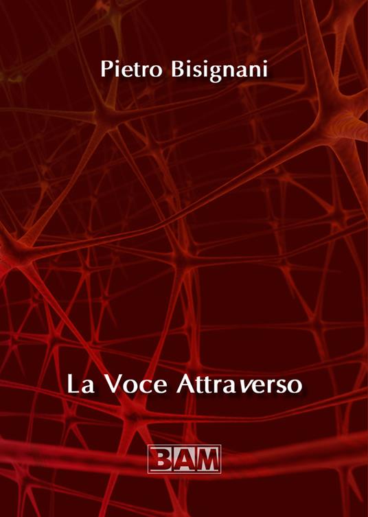 La voce attraverso - Pietro Bisignani - copertina