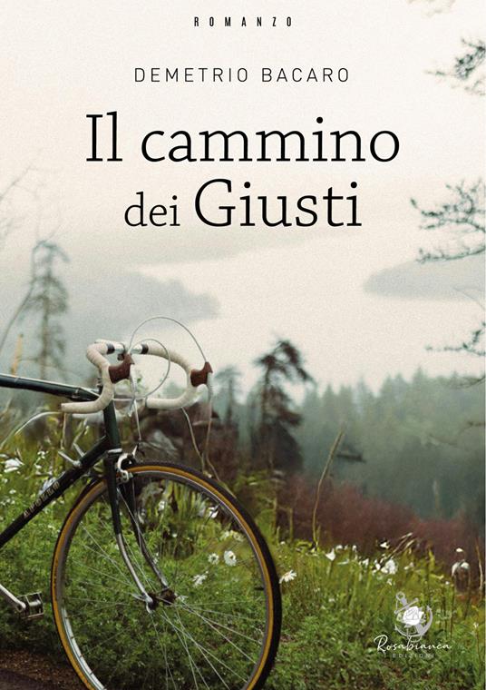 Il cammino dei giusti - Demetrio Bacaro - copertina