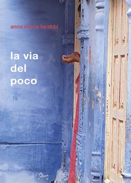 La via del poco - Anna Maria Farabbi - ebook