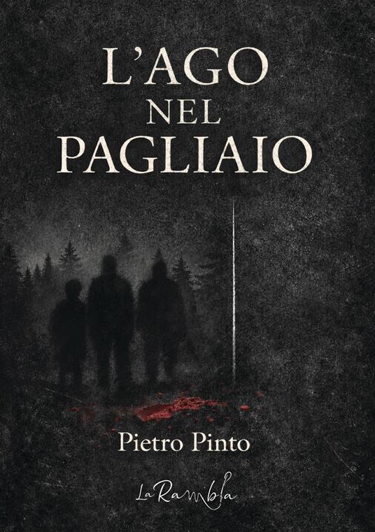 L'ago nel pagliaio - Pietro Pinto - copertina