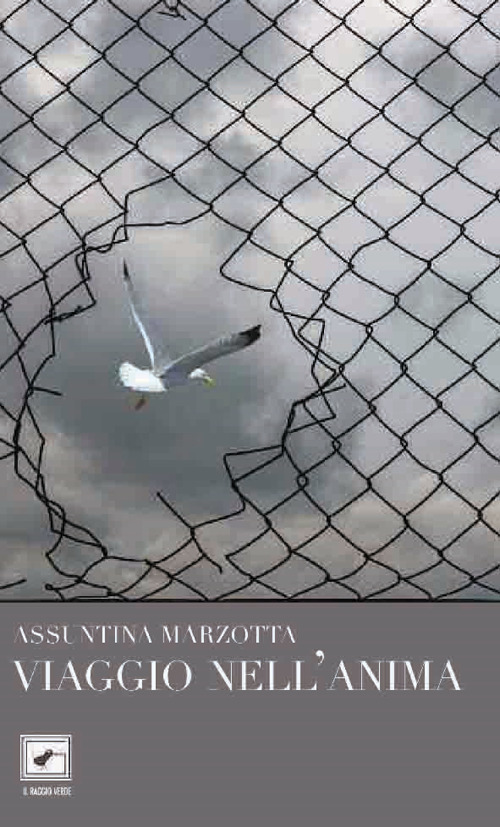 Emozioni Media Store