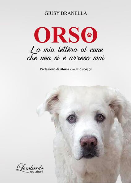 Orso. La mia lettera al cane che non si è arreso mai - Giusy Branella - copertina