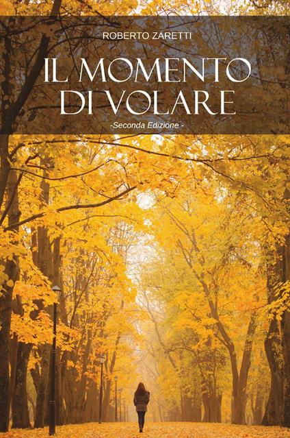 Il momento di volare - Roberto Zaretti - copertina