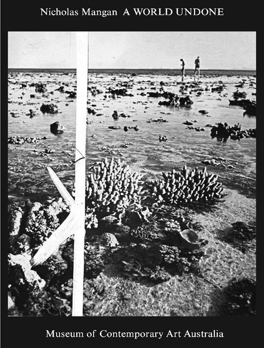 Nicholas Mangan. A world undone. Ediz. illustrata - copertina