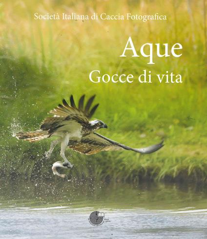 Aque. Gocce di vita. Ediz. illustrata - copertina