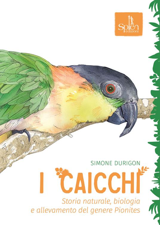 I caicchi. Storia naturale, biologia e allevamento del genere Pionites - Simone Durigon - copertina