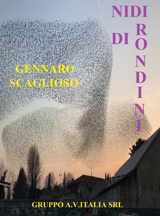 Nidi di rondini - Gennaro Scaglioso - copertina