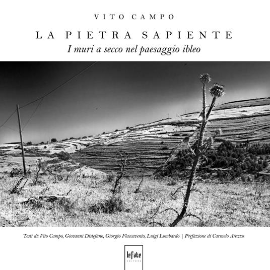 La pietra sapiente. I muri a secco nel paesaggio ibleo. Ediz. illustrata - Vito Campo - copertina