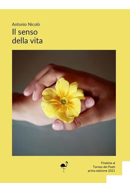 Il senso della vita - Antonio Nicolò - copertina