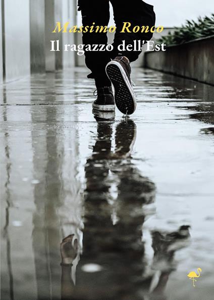 Il ragazzo dell'est - Massimo Ronco - copertina