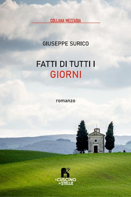 Fatti di tutti i giorni - Giuseppe Surico - copertina