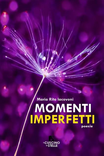 Momenti imperfetti - Maria Rita Iacovoni - copertina
