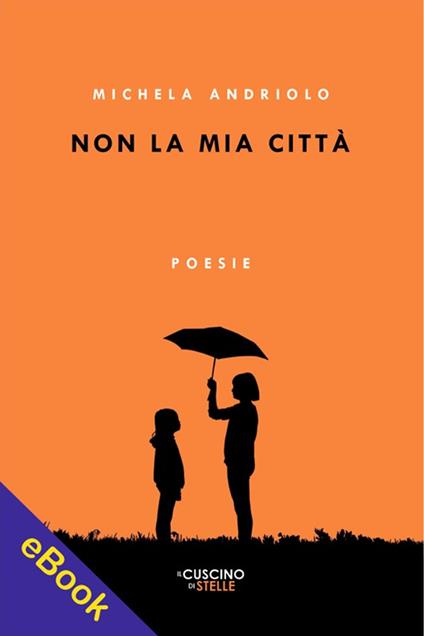 Non la mia città - Michela Andriolo - ebook