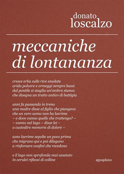 Meccaniche di lontananza - Donato Loscalzo - copertina
